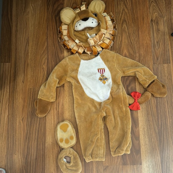 Baby Cowardly lion costume, Wizard of Oz - Picture 1 of 1